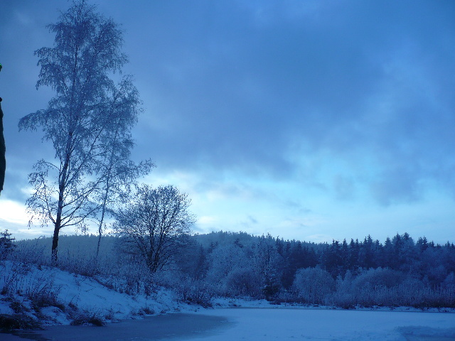 010_silvestr_07